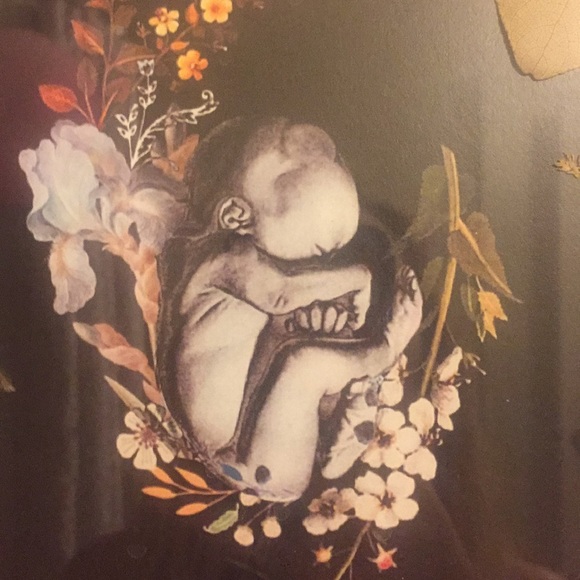 Meet your Posher, Audrey - Picture 2 of 8